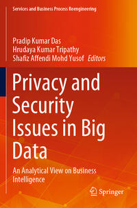 Privacy and Security Issues in Big Data