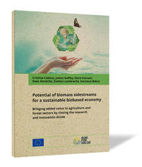 Potential of biomass sidestreams for a sustainable biobased economy