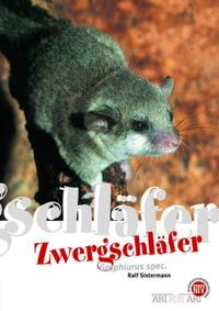 Zwergschläfer