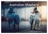 Australian Shepherd - Vielfalt in einer Rasse (Wandkalender 2025 DIN A2 quer), CALVENDO Monatskalender