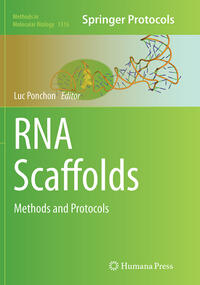 RNA Scaffolds