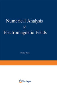 Numerical Analysis of Electromagnetic Fields