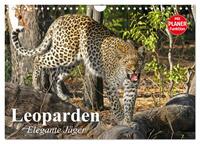 Leoparden. Elegante Jäger (Wandkalender 2025 DIN A4 quer), CALVENDO Monatskalender