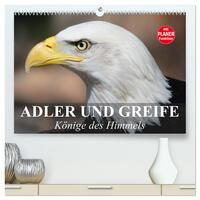 Adler und Greife. Könige des Himmels (hochwertiger Premium Wandkalender 2025 DIN A2 quer), Kunstdruck in Hochglanz