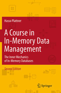 A Course in In-Memory Data Management