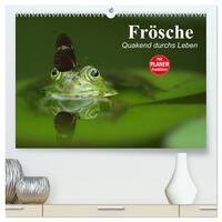 Frösche. Quakend durchs Leben (hochwertiger Premium Wandkalender 2025 DIN A2 quer), Kunstdruck in Hochglanz