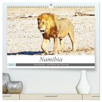 Namibia, Faszination Wüste und Tierwelt (hochwertiger Premium Wandkalender 2025 DIN A2 quer), Kunstdruck in Hochglanz