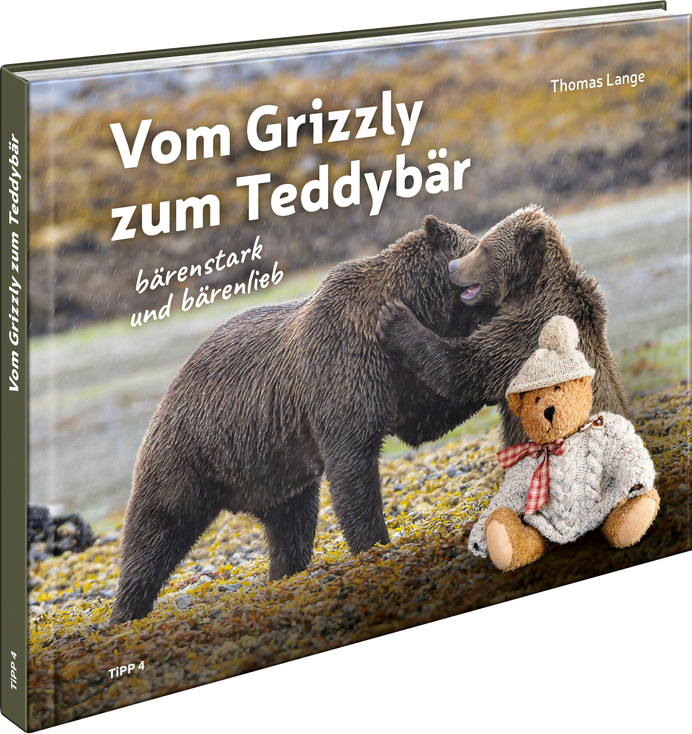 Vom Grizzly zum Teddybär