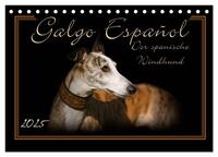 Galgo Español 2025- Der spanische Windhund (Tischkalender 2025 DIN A5 quer), CALVENDO Monatskalender