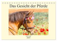 Das Gesicht der Pferde (Tischkalender 2025 DIN A5 quer), CALVENDO Monatskalender