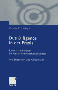 Due Diligence in der Praxis