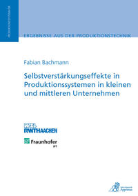 Selbstverstärkungseffekte in Produktionssystemen in kleinen und mittleren Unternehmen