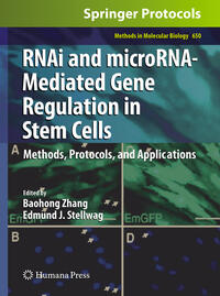 RNAi and microRNA-Mediated Gene Regulation in Stem Cells