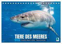 Tiere des Meeres: Faszination Tauchen (Tischkalender 2025 DIN A5 quer), CALVENDO Monatskalender