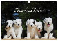 Traumhund Bobtail (Wandkalender 2025 DIN A3 quer), CALVENDO Monatskalender