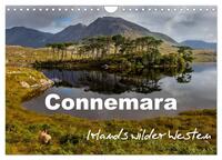 Connemara - Irlands wilder Westen (Wandkalender 2025 DIN A4 quer), CALVENDO Monatskalender