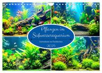 Pflanzen im Süßwasseraquarium. Gartenkunst im Fischbecken (Wandkalender 2025 DIN A4 quer), CALVENDO Monatskalender