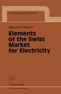 Elements of the Swiss Market for Electricity