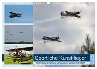 Sportliche Kunstflieger (Wandkalender 2025 DIN A3 quer), CALVENDO Monatskalender