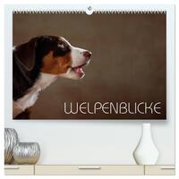 Welpenblicke (hochwertiger Premium Wandkalender 2025 DIN A2 quer), Kunstdruck in Hochglanz