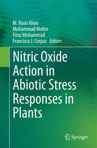 Nitric Oxide Action in Abiotic Stress Responses in Plants