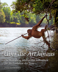 Über die Art hinaus