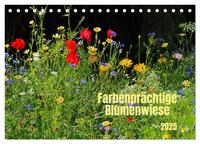 Farbenprächtige Blumenwiese (Tischkalender 2025 DIN A5 quer), CALVENDO Monatskalender