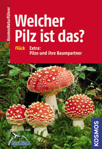 Welcher Pilz ist das?