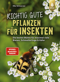 Richtig gute Pflanzen für Insekten