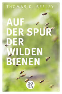 Auf der Spur der wilden Bienen