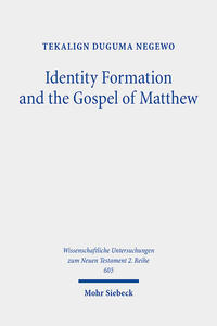 Identity Formation and the Gospel of Matthew