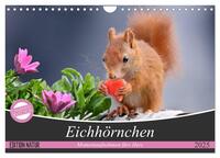 Eichhörnchen Momentaufnahmen fürs Herz (Wandkalender 2025 DIN A4 quer), CALVENDO Monatskalender