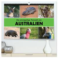 Die einzigartige Tierwelt von Australien (hochwertiger Premium Wandkalender 2025 DIN A2 quer), Kunstdruck in Hochglanz