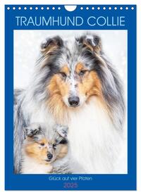 Traumhund Collie - Glück auf vier Pfoten (Wandkalender 2025 DIN A4 hoch), CALVENDO Monatskalender