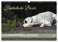 Fantastische Boxer - Sieger der Herzen (Wandkalender 2025 DIN A3 quer), CALVENDO Monatskalender