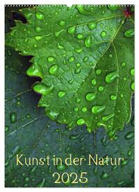 Kunst in der Natur (Wandkalender 2025 DIN A2 hoch), CALVENDO Monatskalender