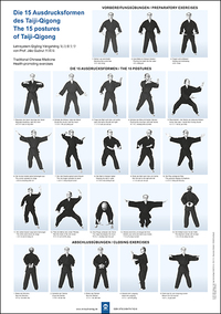 Die 15 Ausdrucksformen des Taiji Qigong Poster