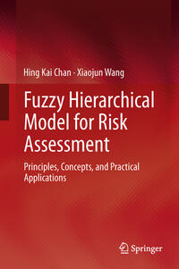 Fuzzy Hierarchical Model for Risk Assessment