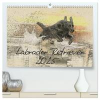 Labrador Retriever 2025 (hochwertiger Premium Wandkalender 2025 DIN A2 quer), Kunstdruck in Hochglanz