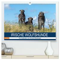 Irische Wolfshunde (hochwertiger Premium Wandkalender 2025 DIN A2 quer), Kunstdruck in Hochglanz