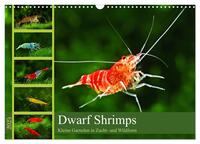 Dwarf Shrimps - Zwerggarnelen (Wandkalender 2025 DIN A3 quer), CALVENDO Monatskalender