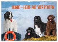 Hunde - Liebe auf vier Pfoten (Wandkalender 2025 DIN A2 quer), CALVENDO Monatskalender