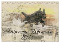 Labrador Retriever 2025 (Tischkalender 2025 DIN A5 quer), CALVENDO Monatskalender