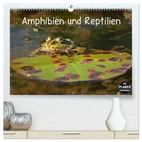 Amphibien und Reptilien (hochwertiger Premium Wandkalender 2025 DIN A2 quer), Kunstdruck in Hochglanz