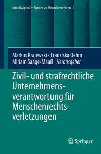 Zivil- und strafrechtliche Unternehmensverantwortung für Menschenrechtsverletzungen