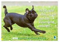 Der Mops: Nicht klein, sondern aufs Wesentliche reduziert. Edition lustige Tiere (Wandkalender 2025 DIN A3 quer), CALVENDO Monatskalender