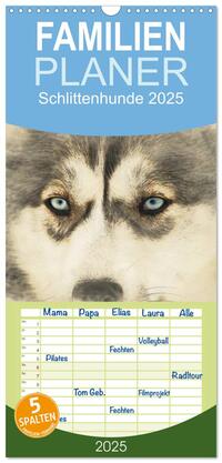 Familienplaner 2025 - Schlittenhunde 2025 mit 5 Spalten (Wandkalender, 21 x 45 cm) CALVENDO