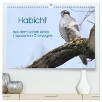 Habicht - aus dem Leben eines imposanten Greifvogels (hochwertiger Premium Wandkalender 2025 DIN A2 quer), Kunstdruck in Hochglanz