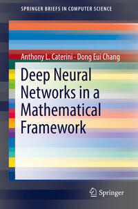 Deep Neural Networks in a Mathematical Framework