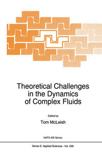 Theoretical Challenges in the Dynamics of Complex Fluids